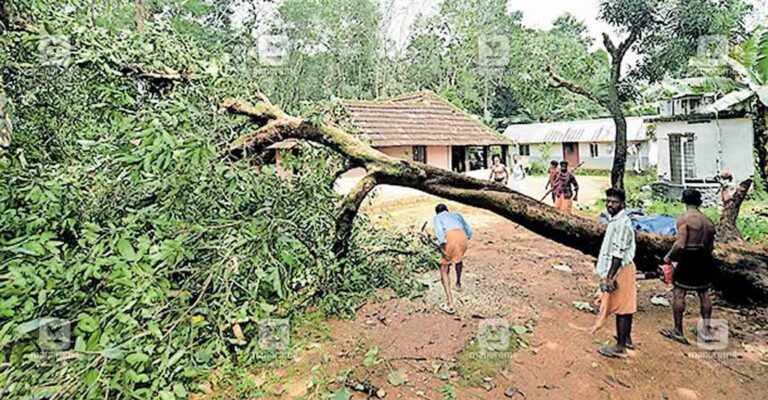 pathanamthitta-cyclone1.jpg