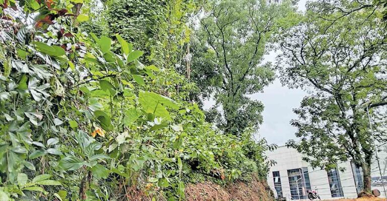 pathanamthitta-ranni-police-station-trees.jpg