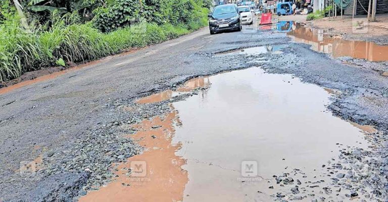 pta-kozhenchery-road-potholes.jpg