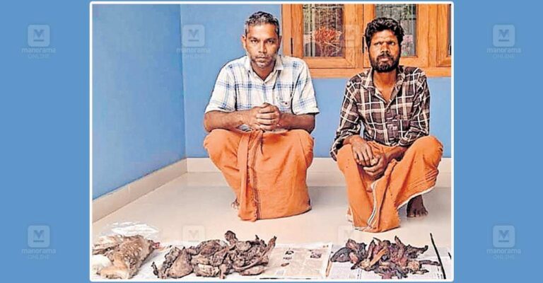 pulpally-chital-issue.jpg
