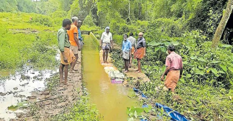 pulppally-canal-issue.jpg