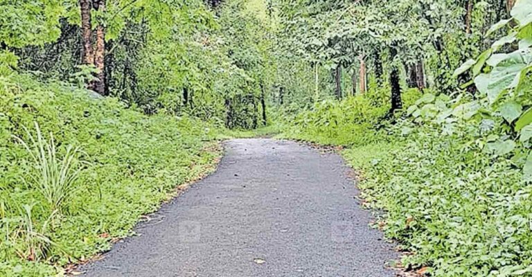 road-blocked.jpg