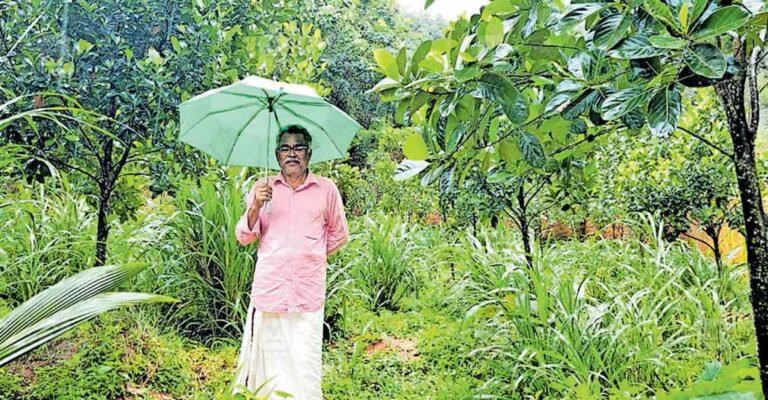 thankachan-yohannan.jpg