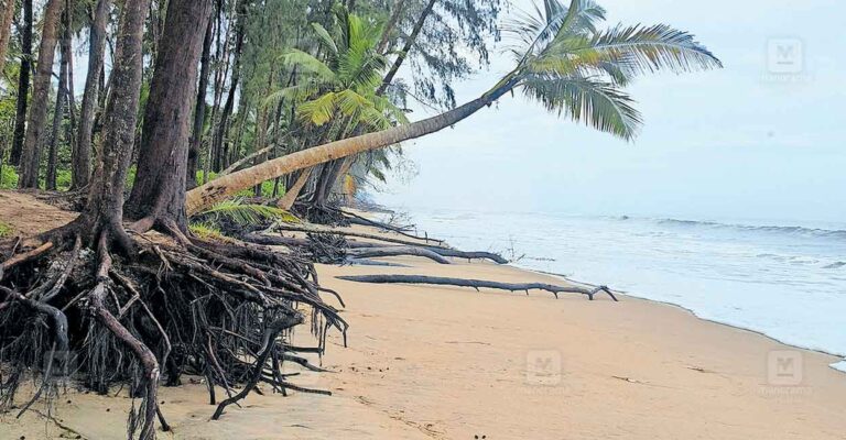 thrissur-kaipamangalam-sea-threat.jpg