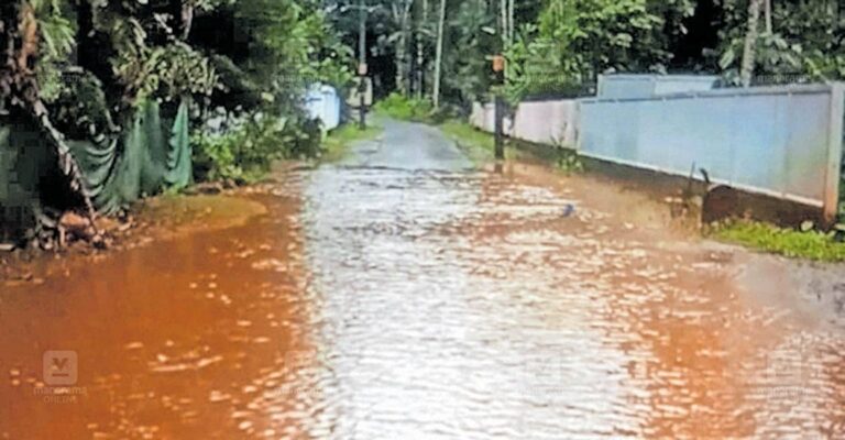 thrissur-kodassery-road-potholes.jpg