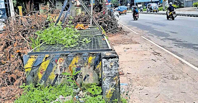 thrissur-viyyur-road-side-well.jpg