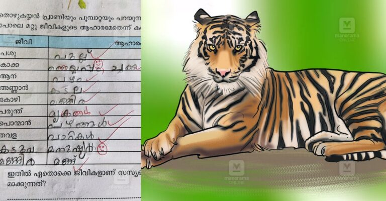 tiger-viral-student-answer-1.jpg
