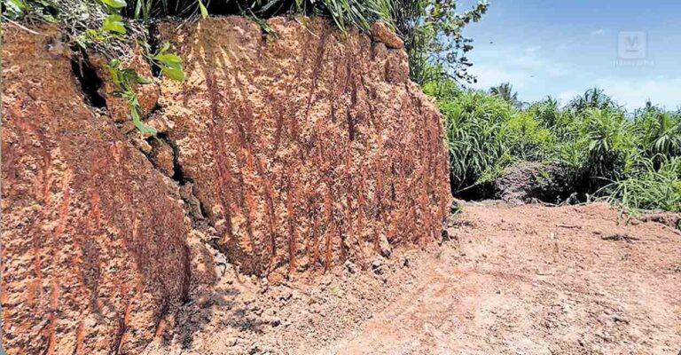 trivandrum-illegal-road.jpg