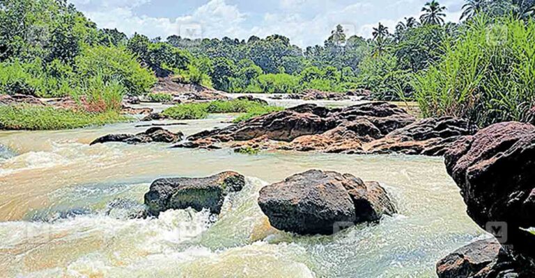 tvm-malayinkizhu-river.jpg