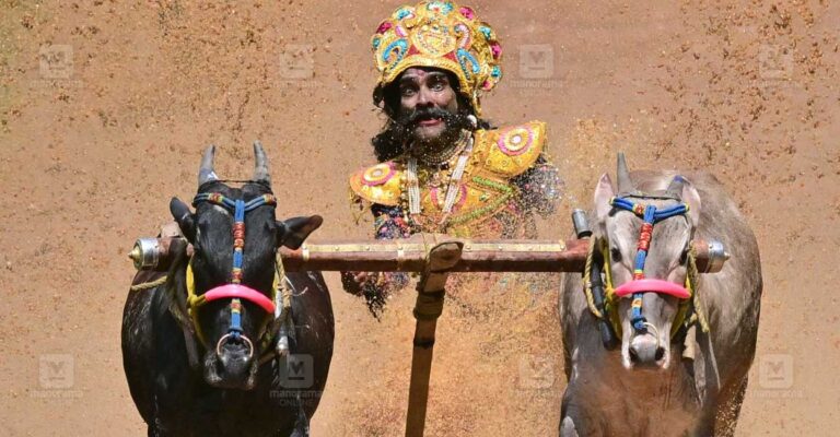 unnikrishnan-mahabali-bull-race.jpg