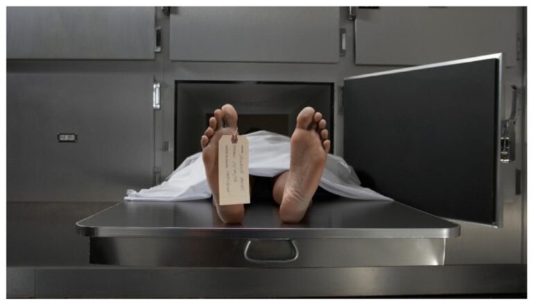 w-1280h-720format-jpgimgid-01k1343sccps1h1bnw18yf3wwkimgname-dead-body-2-1753525380491.jpg