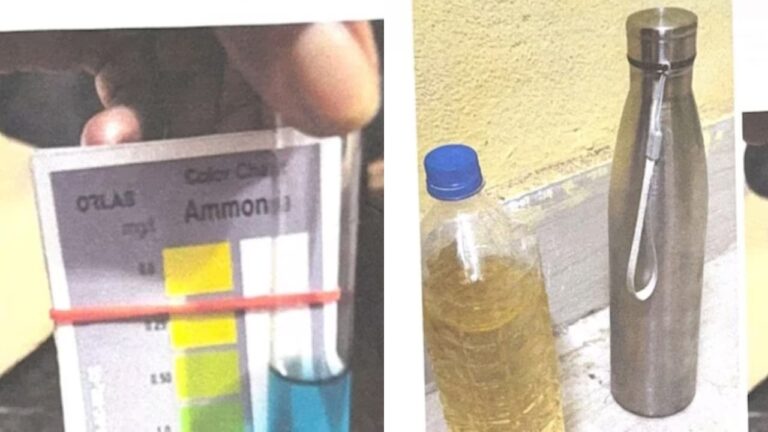 w-1280h-720format-jpgimgid-01k1gya6ntnf1763zekf3ey9xrimgname-urine-instead-of-water-175398906130.jpeg