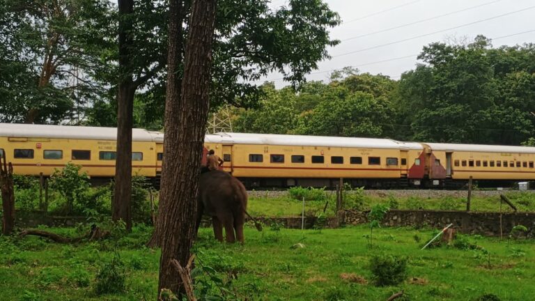 w-1280h-720format-jpgimgid-01k280ycgfc3jb9xns52ncqbg6imgname-railway-1754763571727.jpg