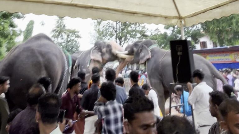 w-1280h-720format-jpgimgid-01k2vjhe7gy3g7pydtckqktxfaimgname-elephant-ran-amoke-1755419556080.pn_.jpeg