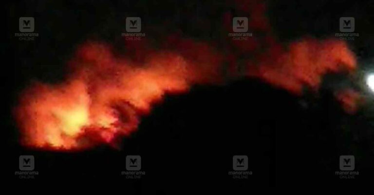 walayar-bed-company-fire.jpg