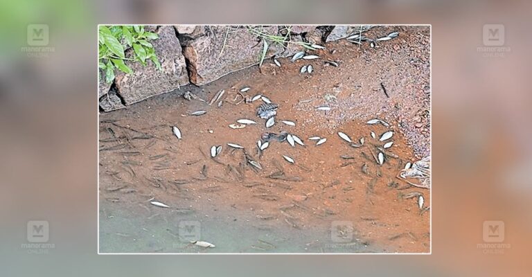 water-pollution-kannur.jpg