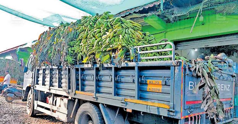 wayanad-banana.jpg