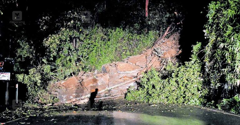 wayanad-ghat-road-block.jpg