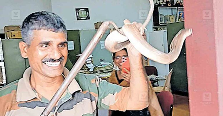 wayanad-snake.jpg