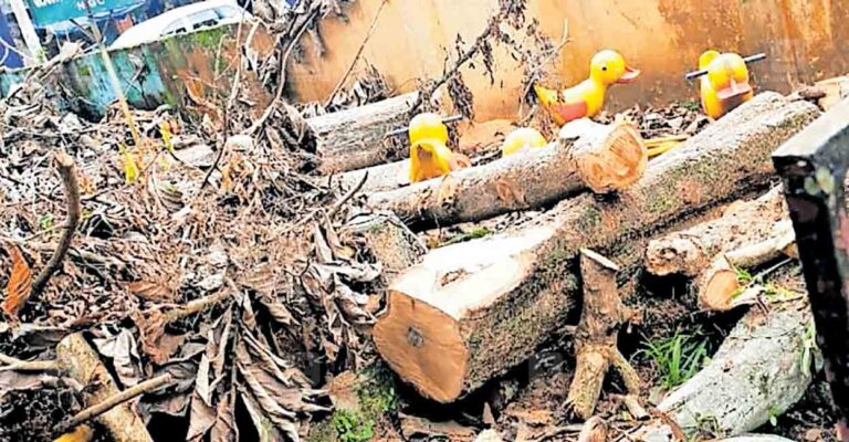 wood-issues.jpg