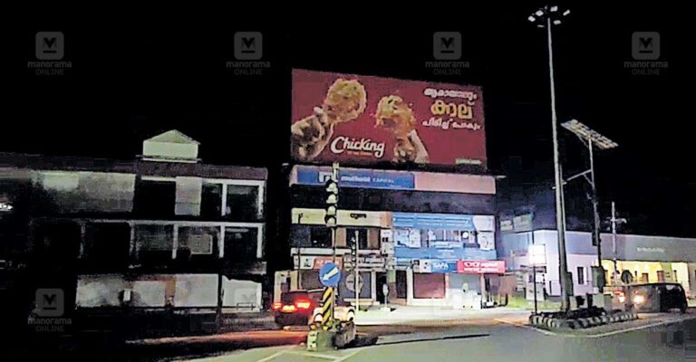 1757366669_street-lights-damage.jpg