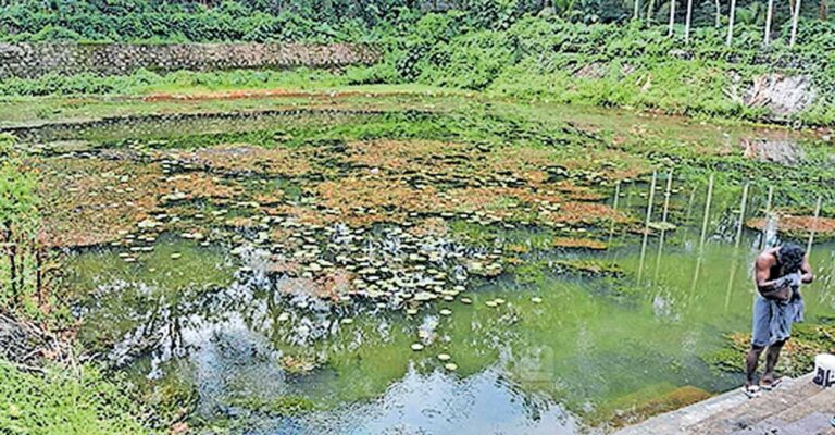 1759026510_pond.jpg