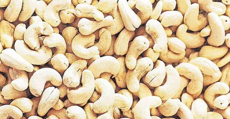 Cashew-nut.jpg