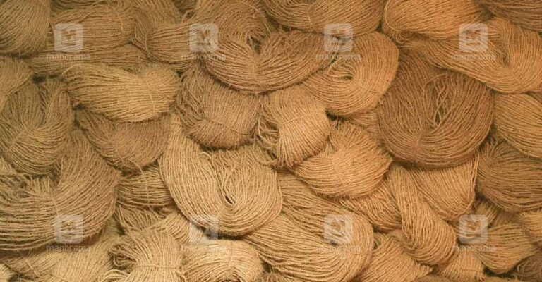 Coir.jpg