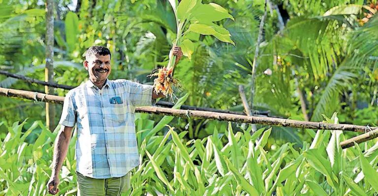 alappuzha-saji-jose.jpg