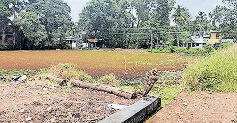alappuzha-vellurkulam-pond.jpg
