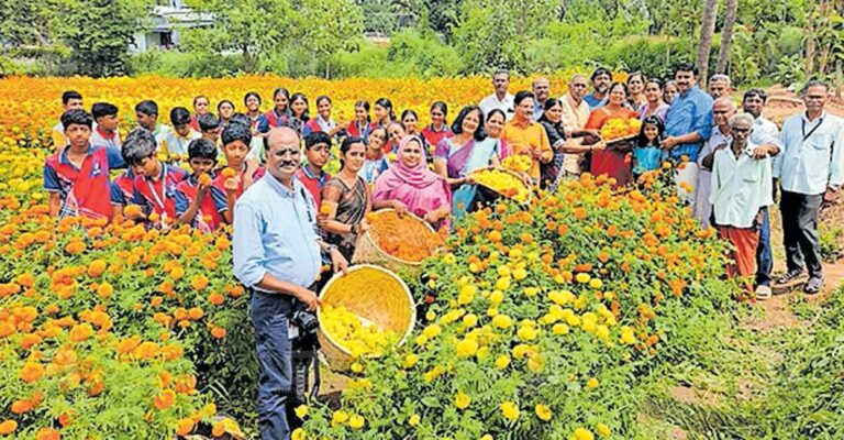 elappully-flowers.jpg