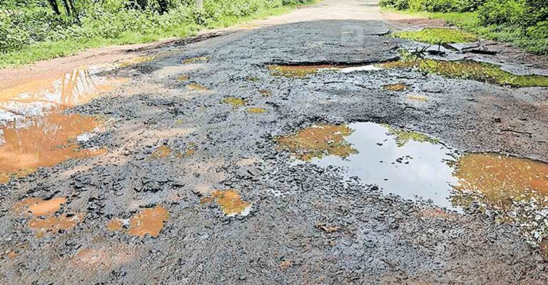 ernakulam-pothole-cochin-university-campus-road.jpg