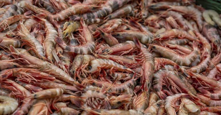 fda-shrimp-recall.jpg