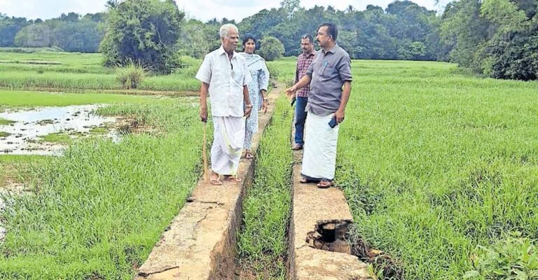 irrigation-canal-failure-kerala.jpg