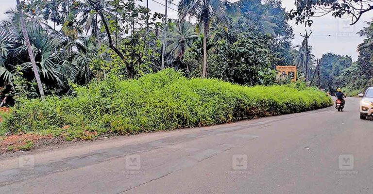 kannur-chittariparamb-road-issue.jpg
