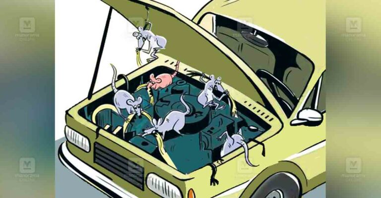 kasargod-rats-damaging-vehicles.jpg