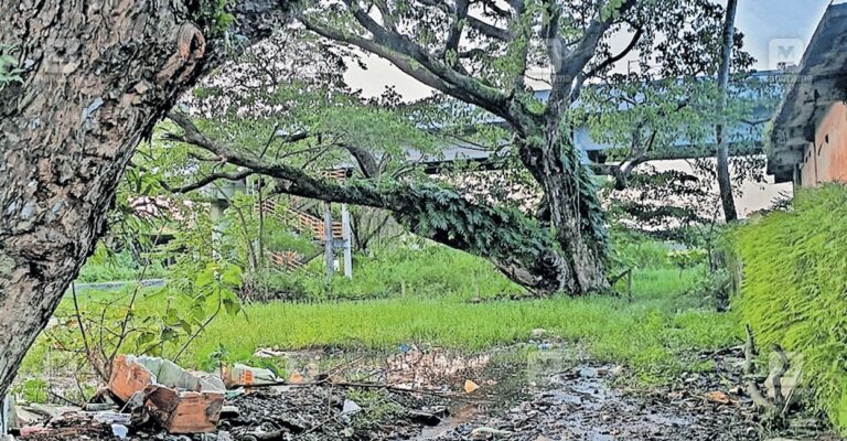 kottacheri-water-logging.jpg
