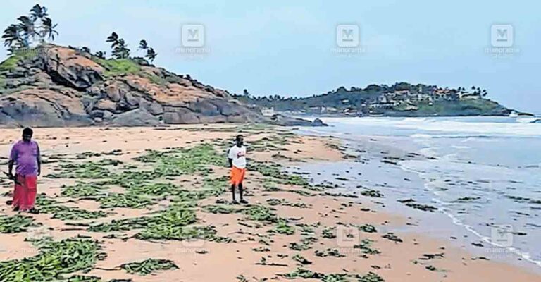 kovalam-beach.jpg