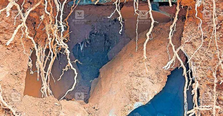 kozhikode-narikkuni-road-issue.jpg