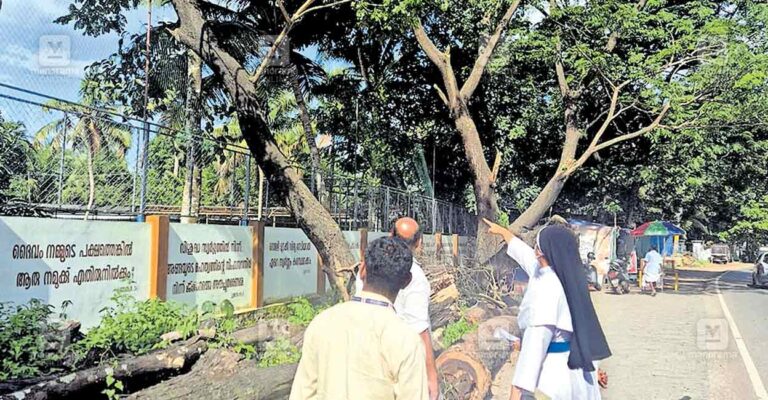 ktm-changanassery-tree-threat.jpg