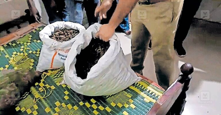 ktm-kaduthuruthy-cannabis-bust.jpg