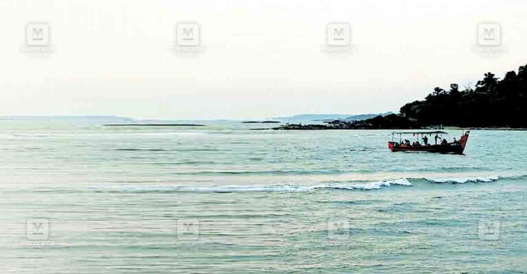 mahi-estuary.jpg