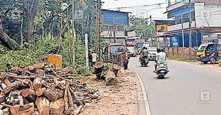 manavattti-koppalam-chambad-road.jpg