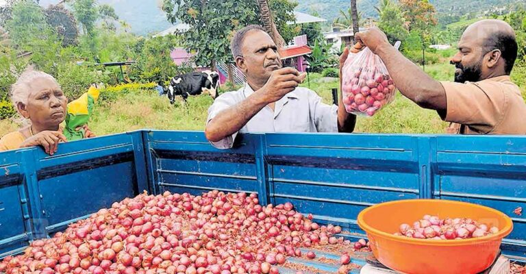 marayoor-onion.jpg
