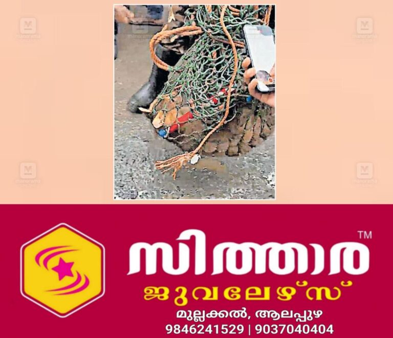 newskerala.net_1756693806_wildcat-attack-pulinjal-1