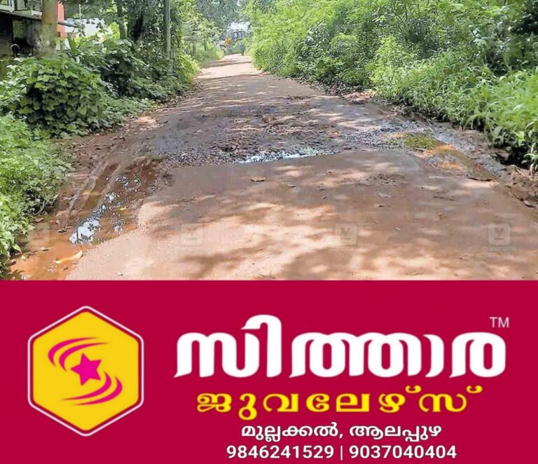newskerala.net_1756704603_alappuzha-harippad-railway-station-road