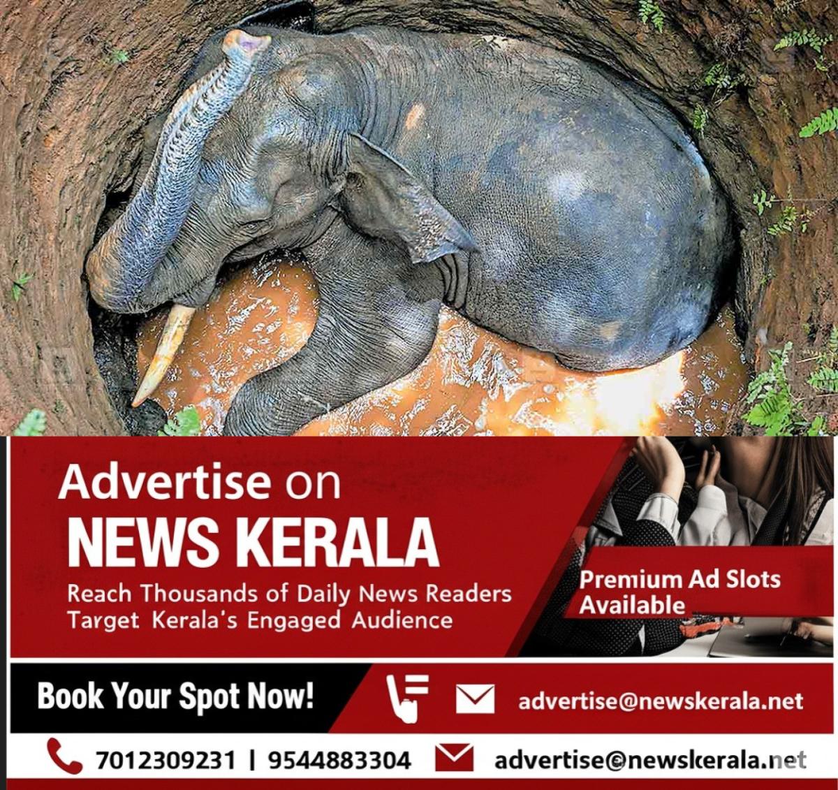 newskerala.net_1756707364_wild-elephant-rescue