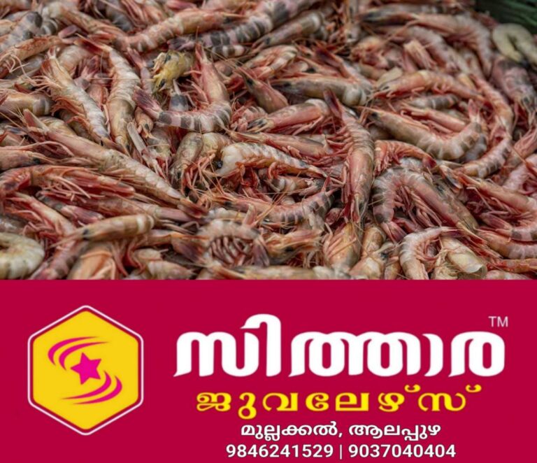 newskerala.net_1756714457_fda-shrimp-recall