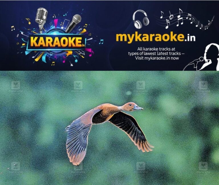 newskerala.net_1756792563_rare-bird