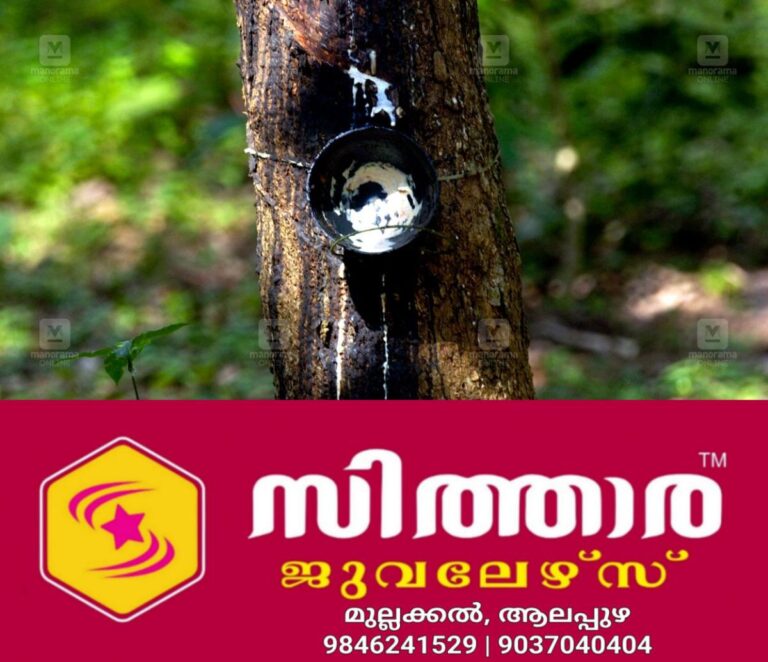 newskerala.net_1756798803_rubber-tapping-1
